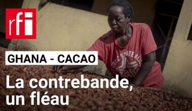Le Ghana a perdu 160 000 tonnes de cacao à cause de la contrebande cette saison • RFI
