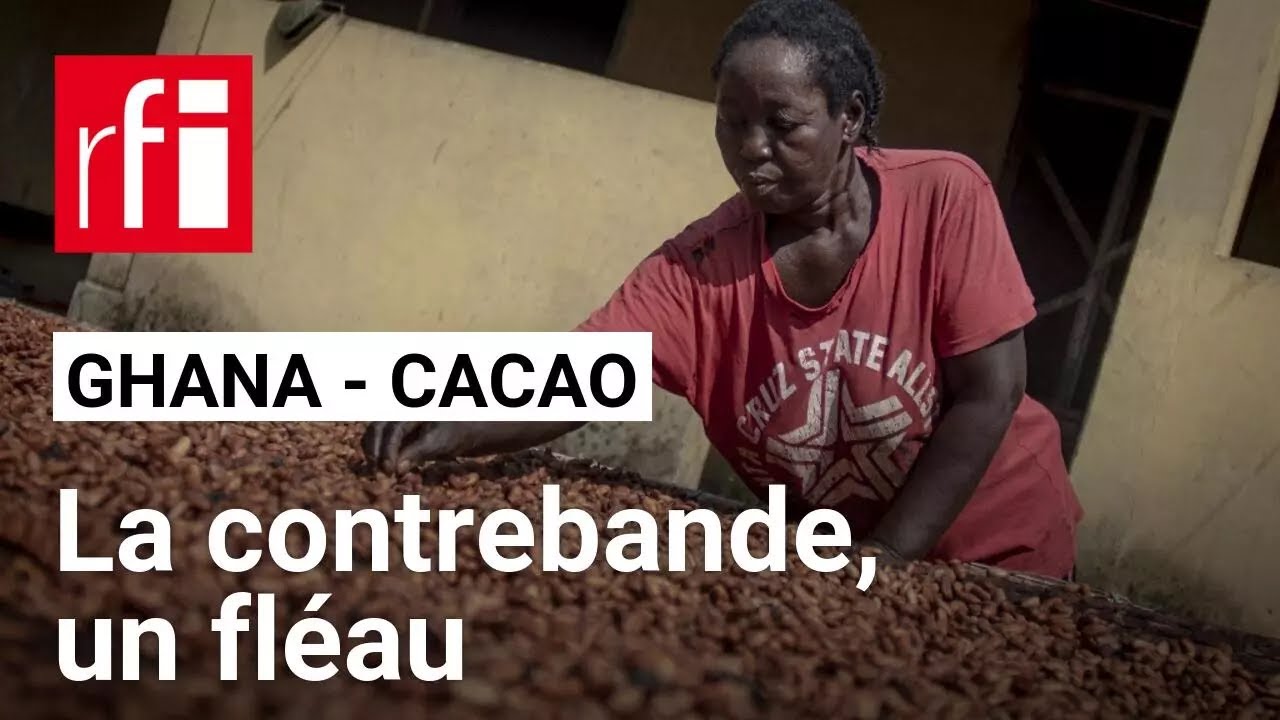 Le Ghana a perdu 160 000 tonnes de cacao à cause de la contrebande cette saison • RFI