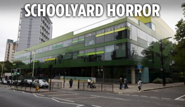 Acid attack at school leaves girl, 14, with horror injuries and two others in hospital