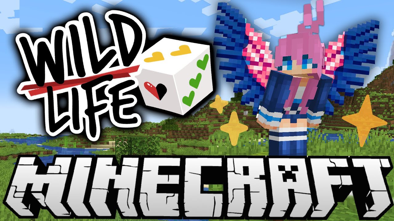 Surprise! 🎲  | Ep. 1 | Wild Life