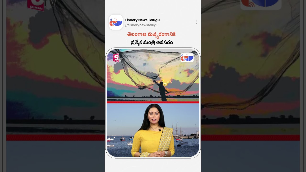 తెలంగాణ మత్స్యరంగానికి ప్రత్యేక మంత్రి అవసరం| Fishery News Telugu