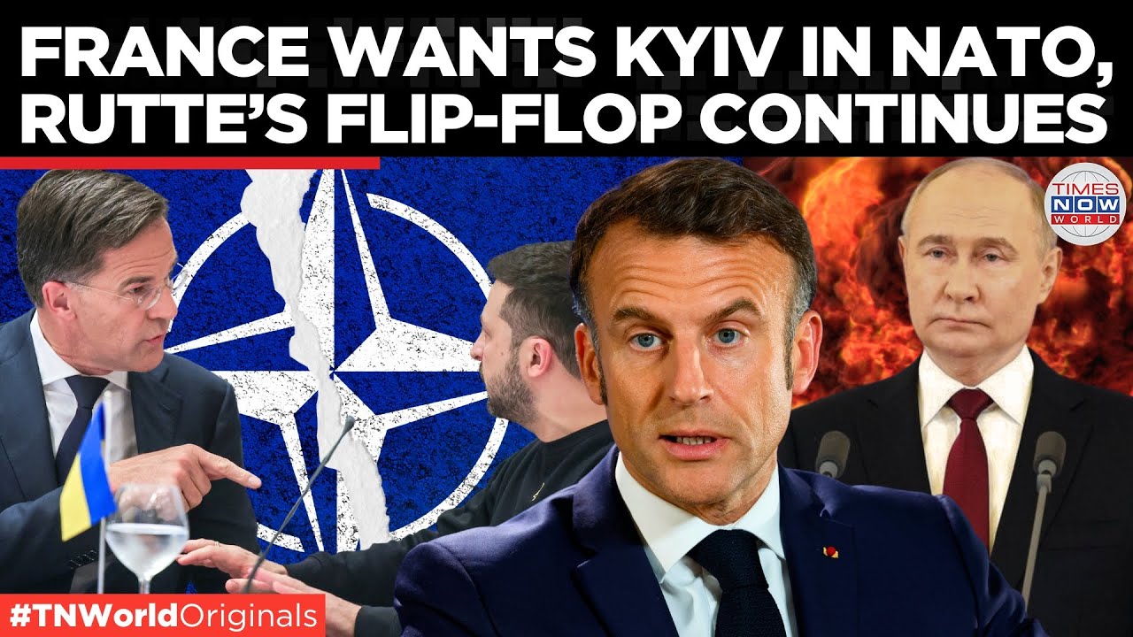 France Backs Zelensky's NATO Membership Bid, Mark Rutte Goes Lukewarm | Times Now World
