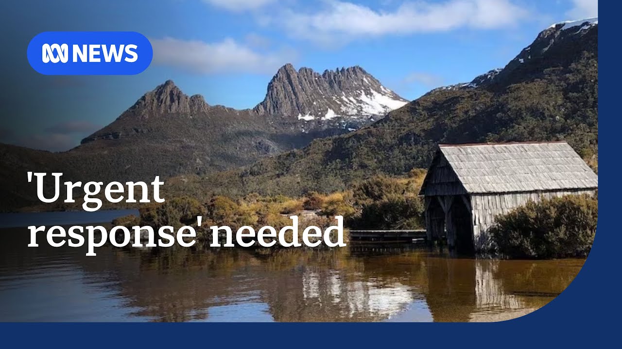 Call for Tasmanian Government to act on 'scathing' State of Environment report | ABC News