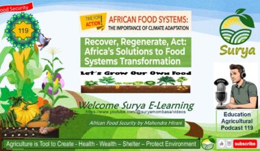 African Food System Need for Climate adaptation Recover Regenerate Act Food Transformation