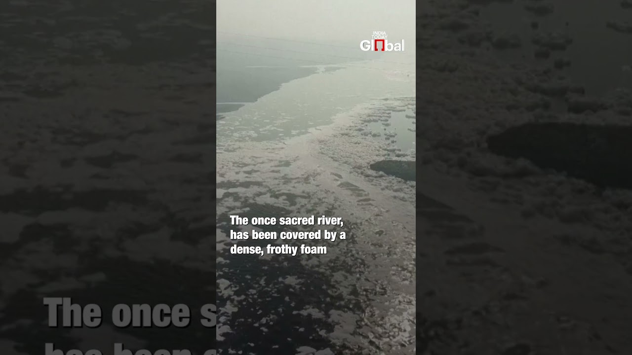 Severe Pollution Crisis in Yamuna River Exposed | Toxic Foam & Deadly Water Levels