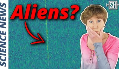 New Alien Signal Rumour -- What's Behind It?