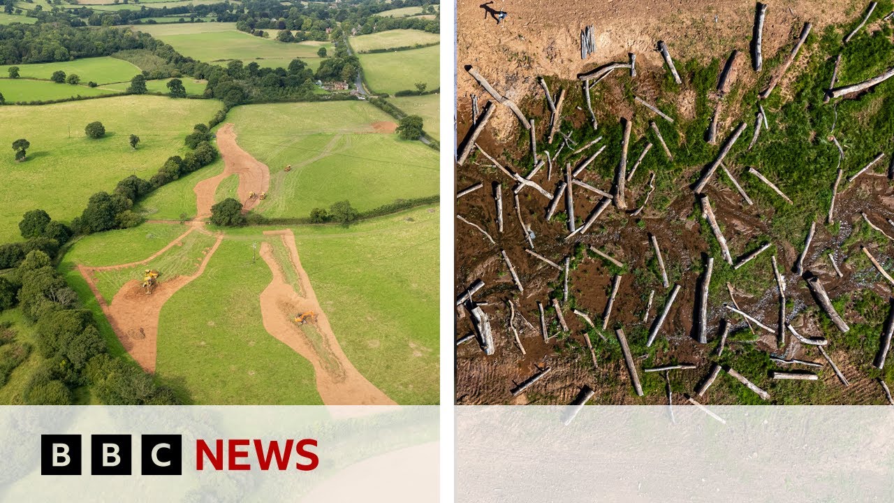 What happens when you set a river free? | BBC News