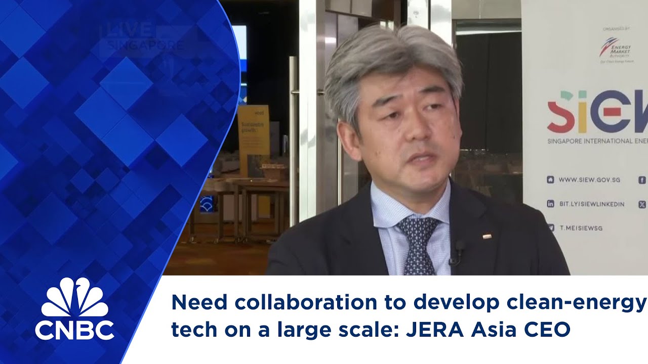Need collaboration to develop clean-energy tech on a large scale: JERA Asia CEO