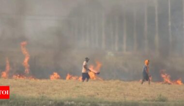 'Toothless' environment laws: Supreme Court slams Centre over stubble burning | India News