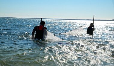 Class in session on Peconic Bay for science-hungry youngsters