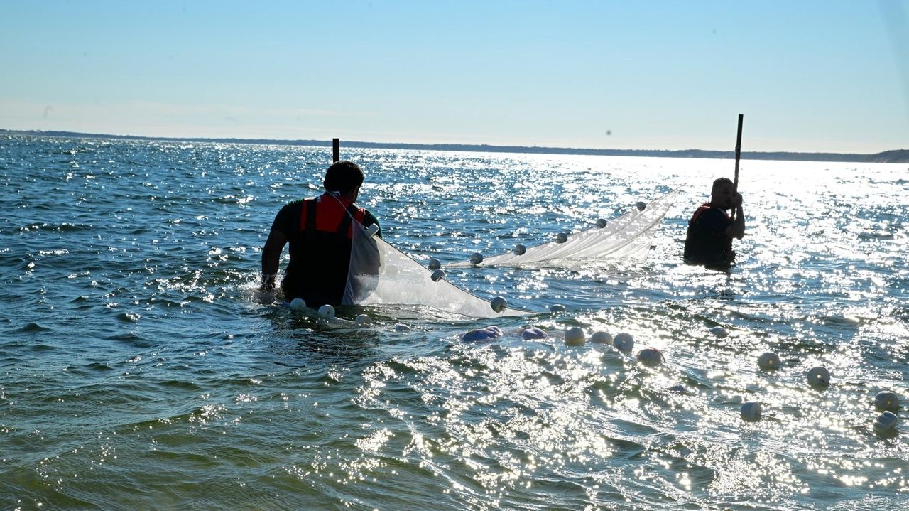 Class in session on Peconic Bay for science-hungry youngsters