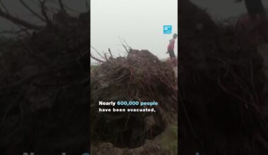 🌪️🇮🇳 Cyclone #Dana hits #India, bringing heavy rains and strong wind • FRANCE 24 English