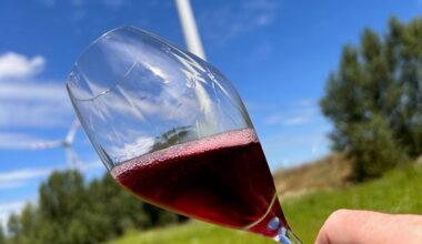 Chris Wilson unearths the riches of Austria's Neusiedlersee region