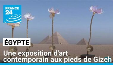 Egypte : une exposition d'art contemporain aux pieds de Gizeh • FRANCE 24