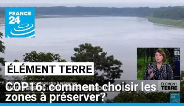 COP16: Préserver 30% des terres et des mers mais où? • FRANCE 24
