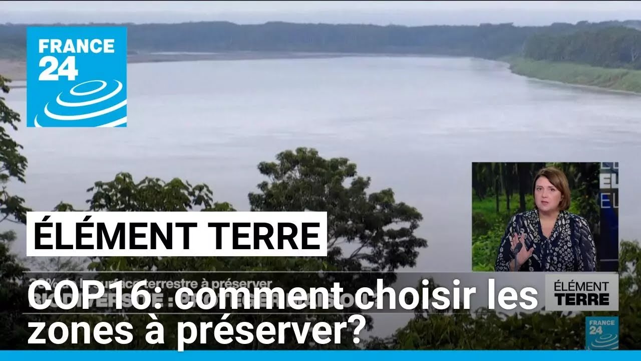 COP16: Préserver 30% des terres et des mers mais où? • FRANCE 24