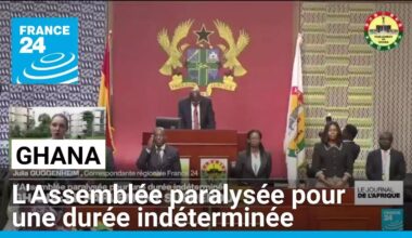 Ghana : l'Assemblée paralysée pour une durée indéterminée • FRANCE 24