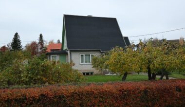 Prokuratuur Rakvere eramu keldrist surnuna leitud naisest: tõendid kuriteole ei viita