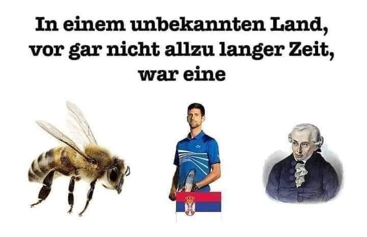 🐝