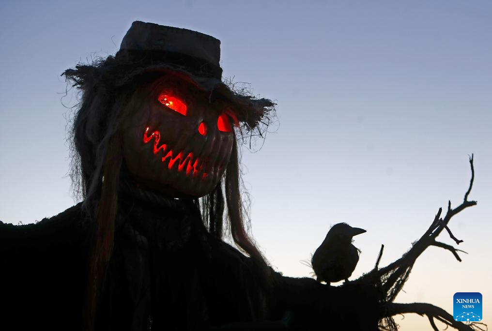 Halloween festival celebrated in Bucharest, Romania-Xinhua