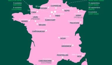 Anyone planning on visiting “les Grandes Braderies des Jeux” this weekend? Help a flag collector out!
