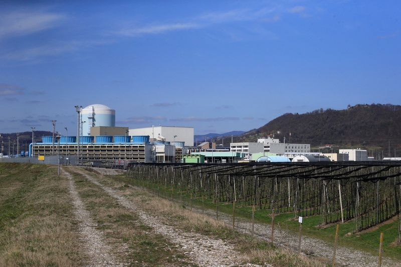 Slovenia cancels referendum on new nuclear plant