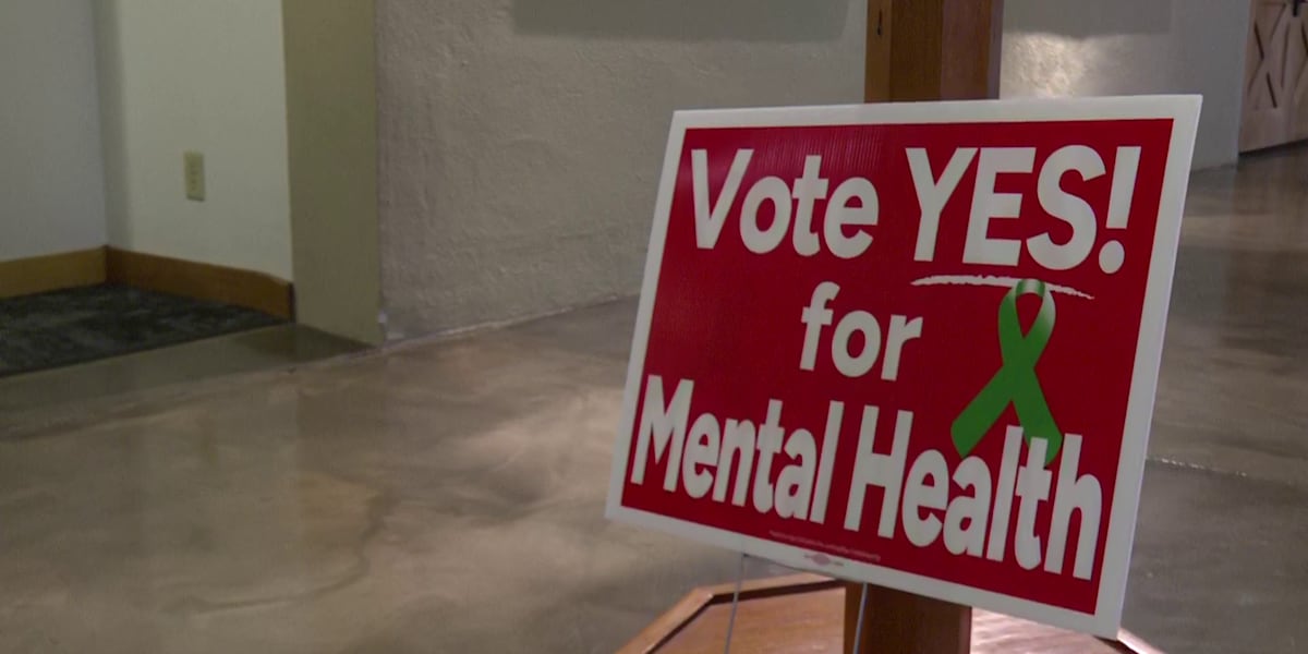 Local leaders push for half-cent mental health tax extension