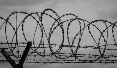 At least 12 Ukrainians held in Belarusian prisons for political reasons