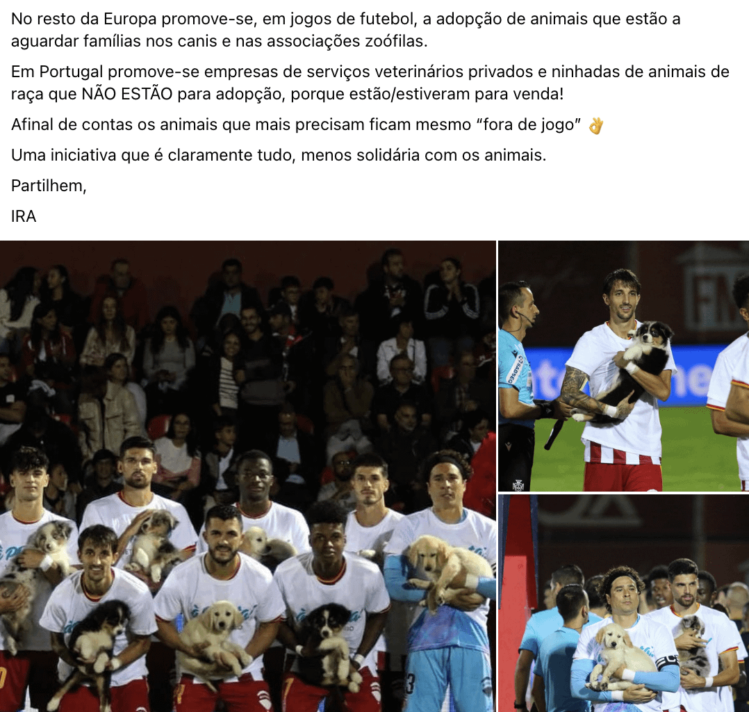 "Não me deixes fora de jogo 🐶"?