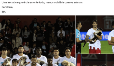 "Não me deixes fora de jogo 🐶"?