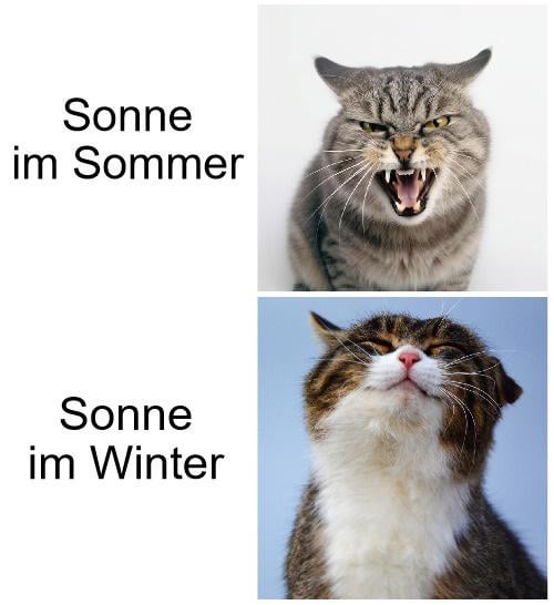 ich🌤iel