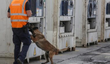 belgium s giant port of antwerp has become a major entry for cocaine being smuggled into europe file photo afp
