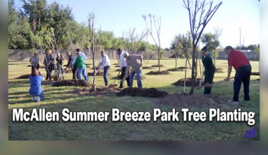 McAllen Summer Breeze Park Tree Planting
