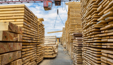 In August, price for lumber exported from Sweden to Morocco adds 0.5%
