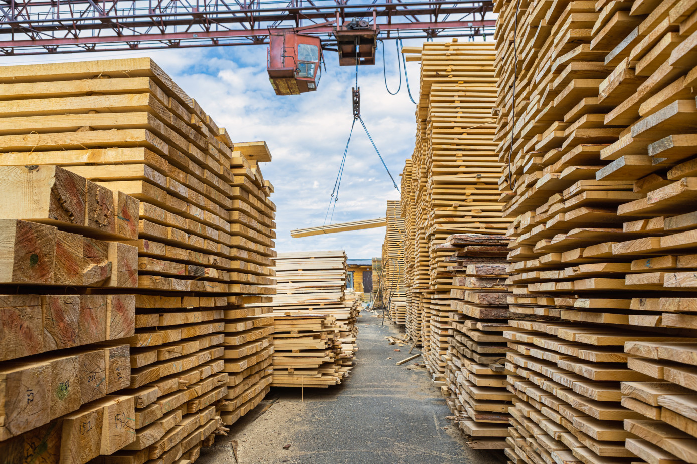 In August, price for lumber exported from Sweden to Morocco adds 0.5%