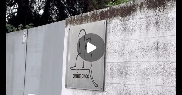 Futebol & Adopção de Animais