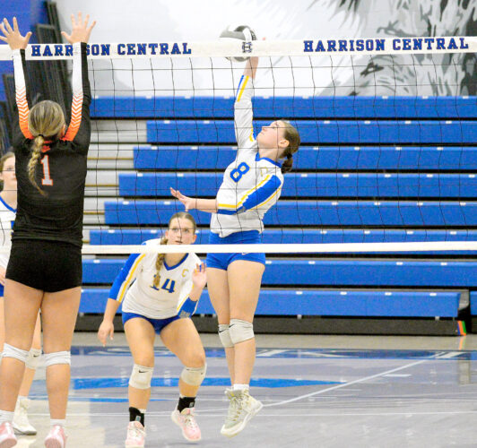 Central’s season ends in district semis | News, Sports, Jobs