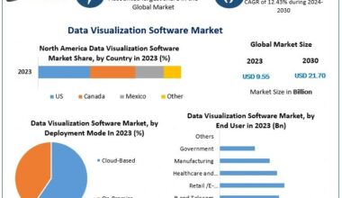 Data Visualization Software Market