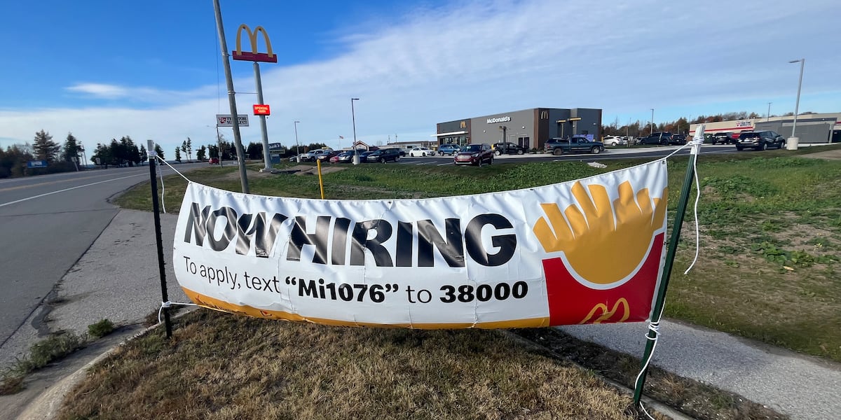 Manistique McDonald's now open for business