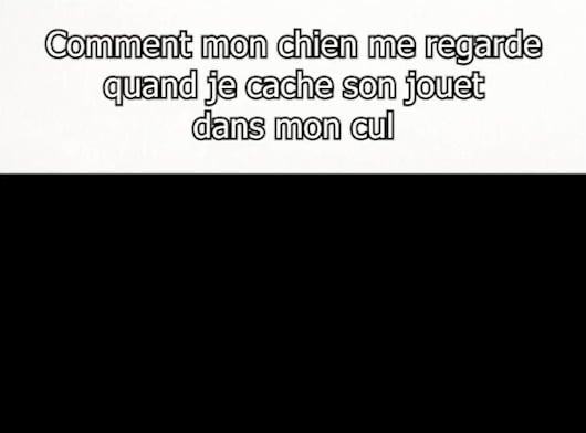 Va chercher Médor