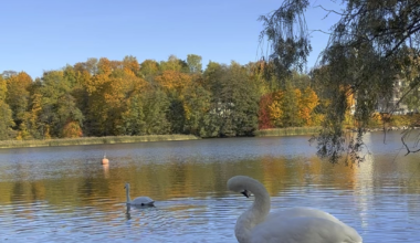 Autumn in Finland 🇫🇮