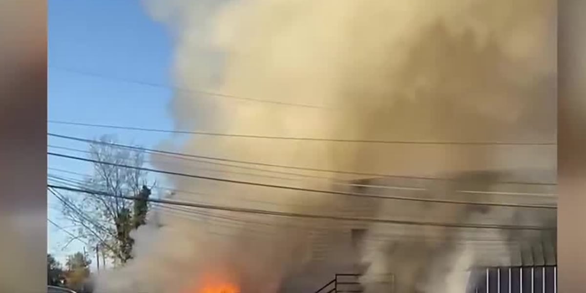 Fire destroys Northern Kentucky business that was close to opening