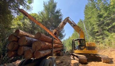 Northern California wood pellet project draft environmental impact report released – Times-Standard