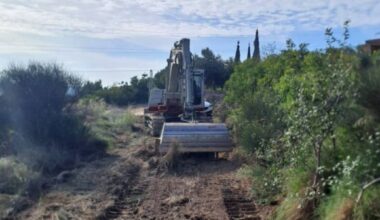 croatian roads olive grove