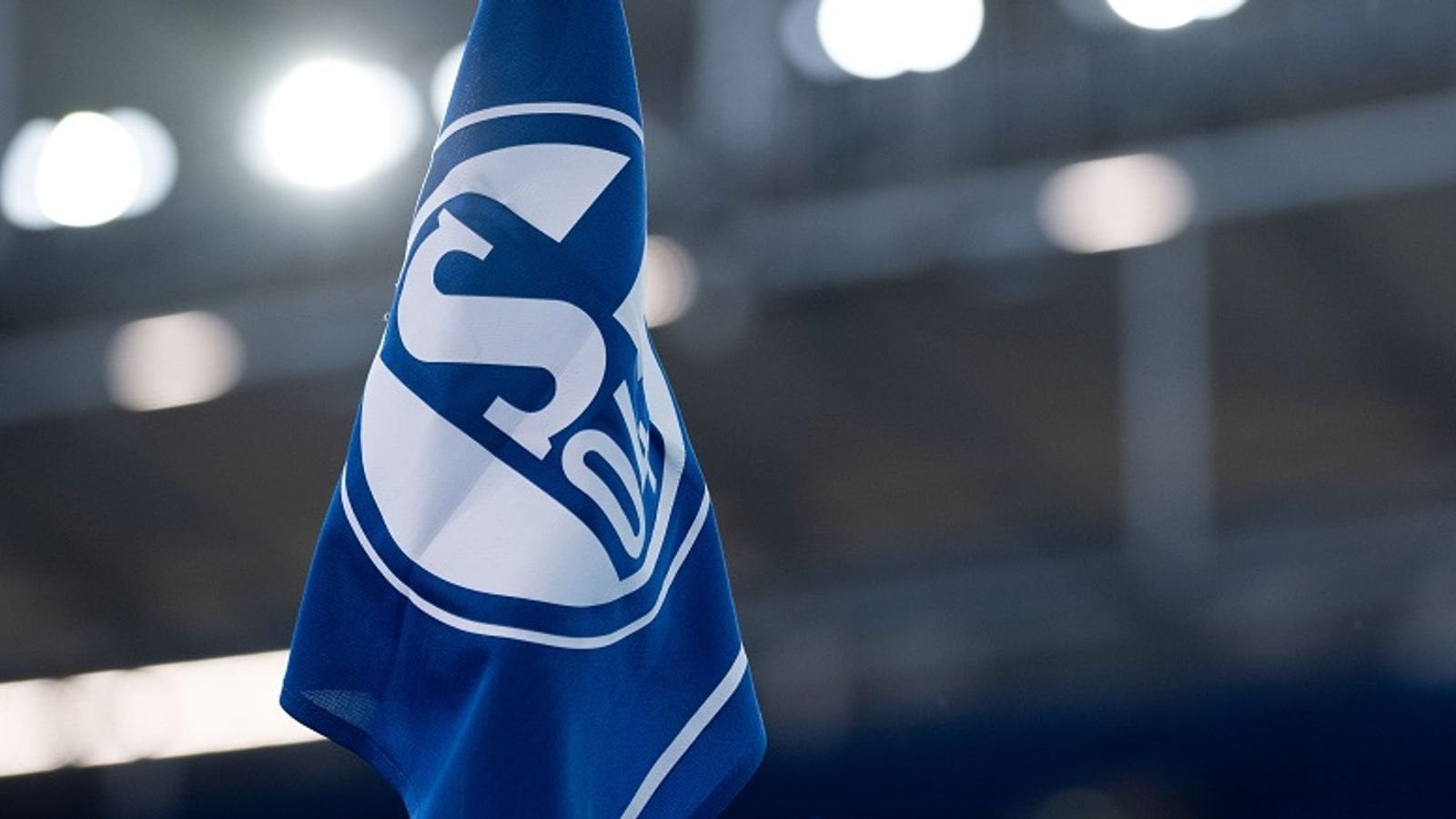 Schalke 04 gründet Fördergenossenschaft und stellt Weichen für die Zukunft