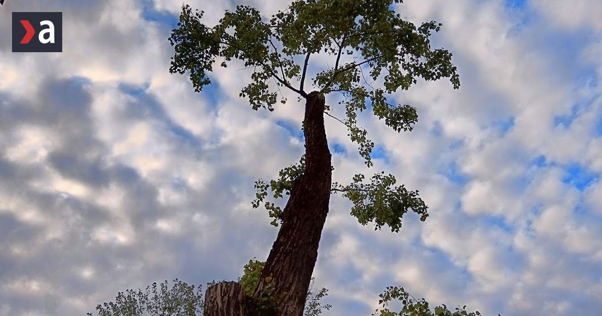Počasie na nedeľu - správy