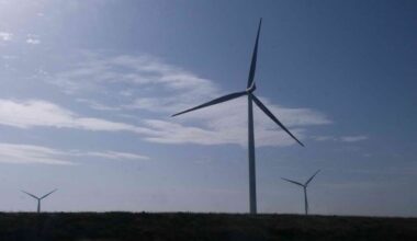 bne IntelliNews - PPC to take over Europe’s biggest onshore wind farm in Romania