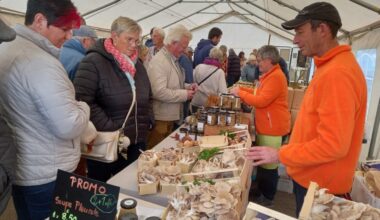 Dimanche, la fête du champignon de Monchy-sur-Eu célèbre sa dixième édition