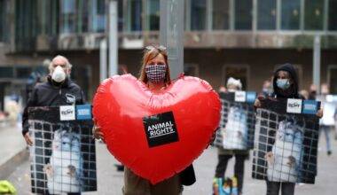 Romanian lawmakers vote to phase out fur farming from 2027