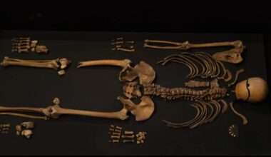 Scientists Decode Mystery Of 'Well-Man' From 800-Year-Old Story In Norway